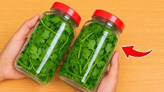 How to Preserve Cilantro for 1 YEAR – No Spoilage, No Freezer Needed! |Clever Tricks