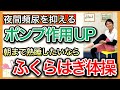 【夜間頻尿】血液循環を向上させて夜間頻尿を解消。朝まで寝たいなら椅子に座ってふくらはぎ体操