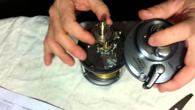 First Impressions of the NEW Shimano Tekota 800PGLC Reel 