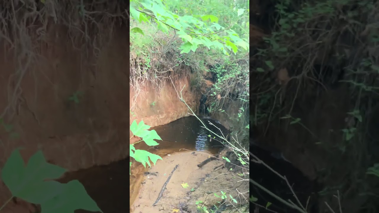 Calm Creek Waterfall 