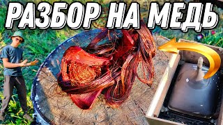 видео: Охота на Красное золото! картинка: Охота на Красное золото!