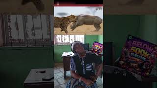 Two Warthogs turn the tables on the Leopard 🐆. There is so much power in unity. #MoralLessons #learn