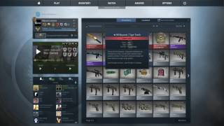 CS:GO Soundbug 07-07-2017 - Warning Loud!