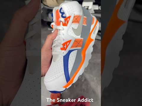 Nike Air Trainer