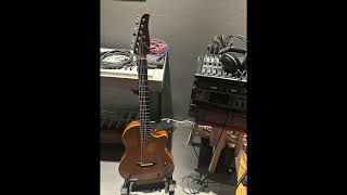 Tom Anderson Crowdster V.S Martin GPCPA4 Rosewood(u.s.a)