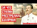 За что Сталин расстрелял Бухарина