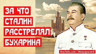 За что Сталин расстрелял Бухарина