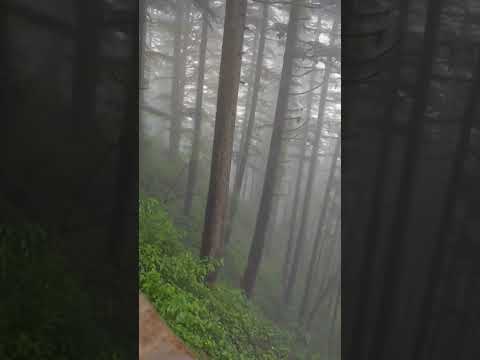 Beautiful Uttrakhand|#travel #nature #beautiful #pahadi #hills #waterfall #bali#mountains #trending