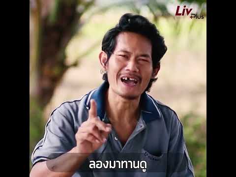 แน่นท้อง จุกท้อง รู้สึกอาหารไม่ย่อย ท้องอืดทั้งวัน จนมาเจอลิฟพลัส แน่นท้อง จุกท้อง รู้สึกอาหารไม่ย่อย ท้องอืดทั้งวัน จนมาเจอลิฟพลัส