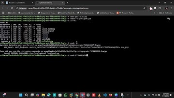 Privilege Escalation in Linux 🔐🐧