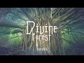 Divine forest  udu drum grounding journey  earth water nature connection  grounding ceremony