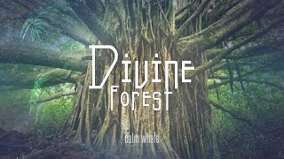 Divine Forest 🌳 UDU Drum Grounding Journey - Earth, Water, Nature, Connection - Grounding ceremony