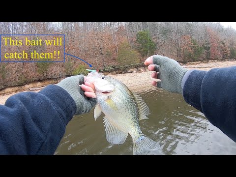 This TROUT Lure Will Catch LOADS Of CRAPPIE!! (Presented by