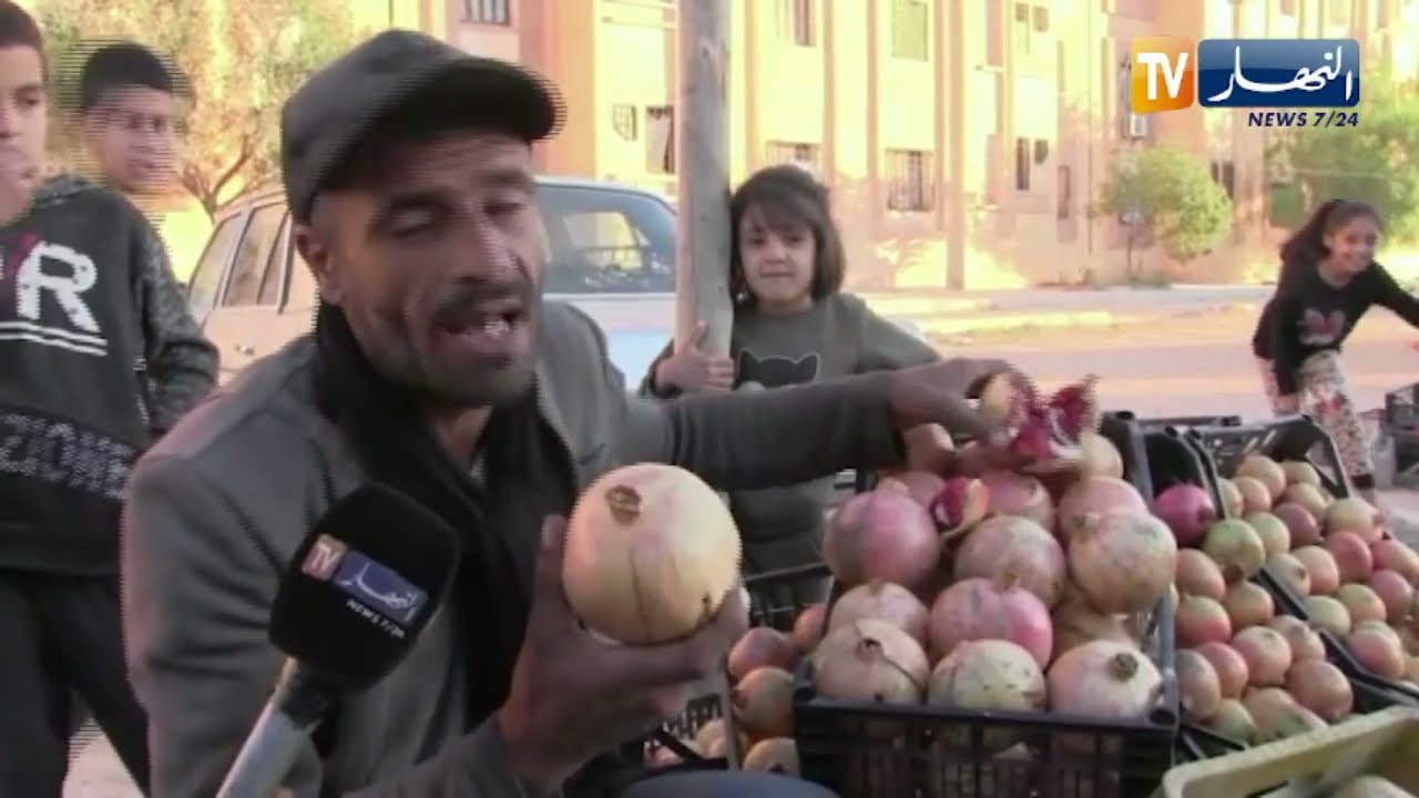 الجلفة: الرمان المسعدي..فاكهة موسمية يستغلها بعض الشباب للإسترزاق