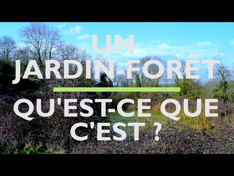 Vidéo: Qu'est-ce qu'un foret cloche ?