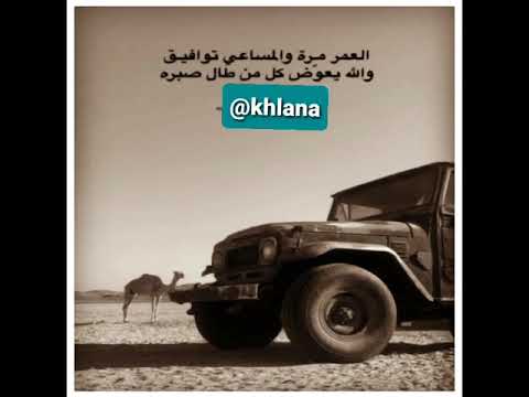 قال أبو ذيب القضية قاسية والوضع قاسي كلمات الشاعر عبد القوي القردعي لحن وغناء الغشامي كاملة