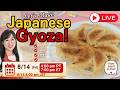 Let’s Make Perfect Crispy Gyoza Together! 🥟 (Live Q&A + Prep Tips)