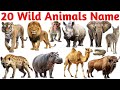 Wild Animals for Kids | Learn 20 Wild Animal Names in English with Pictures for Preschool &amp; Toddlers