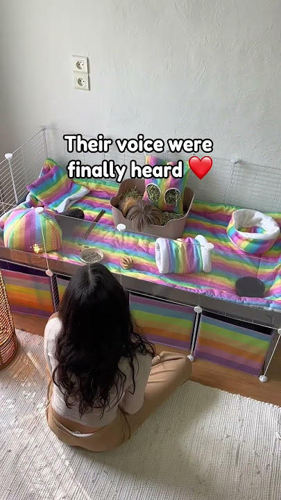 The Best Guinea Pig Cage