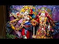 Highlight 14:28 – 19:28 from Radha Govinda Chandan Yatra ISKCON Indore