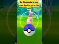 An alomomola is very rare hard to get in the wildpokemon short shorts pokemongo pokmon