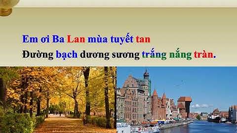 Văn 11 đặc điểm loại hình tiếng việt