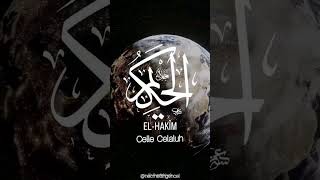 Ya Hakim (Cc) Engin Noyan Resimi