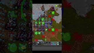 Jakie weekly taski robię? #gaming  #games #tibia #mmorpg #nostalgia #funny