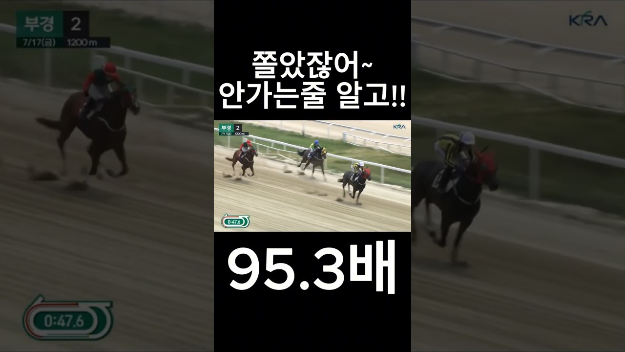 쫄았잖어~  #경마  #경마예상  #경마방송  #경마예상방송  #서울경마  #금요경마  #토요경마  #일요경마 #경마장