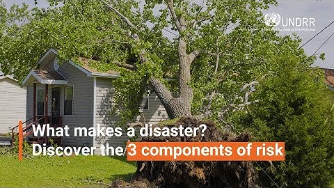 What makes a disaster? Discover the 3 components of risk | UNDRR
