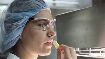 Lamb Weston / Meijer - Frytology (Engels subtitles)