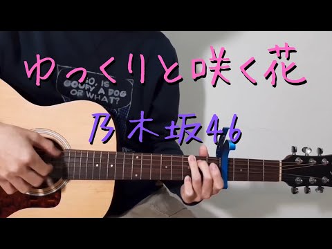 【鈴木絢音生誕紀念．乃木坂46】ゆっくりと咲く花（緩慢綻放的花朵）- 小提琴🎻Violinバイオリン、吉他🎸Guitarギタ、人聲🎤Vocal - COVER