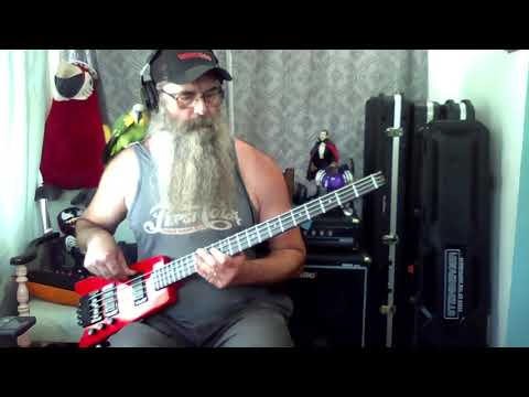 Tim McGraw - Indian Outlaw (1994) bass cover