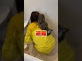人生2回目のシャンプーがヤバすぎた #猫 #まっちゃ