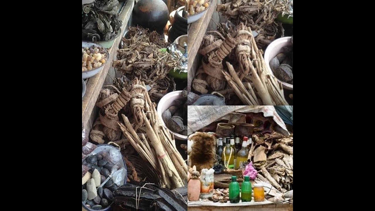 Au cœur des savoirs ancestraux :Serigne Niang le tradipraticien qui soulage des milliers d patients