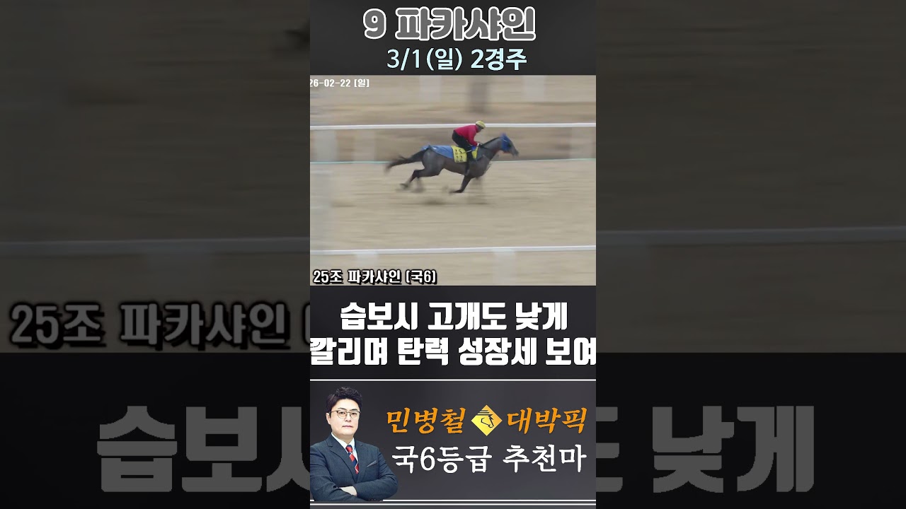 [서울 경마] 민병철 대박픽 2026년 3월 1일 일요 2R 추천마3 #한국마사회 #horse #경마 #automobile #하이라이트 #riding #sports #게임