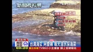 「台灣海女」阿香姨每天潛水採海菜