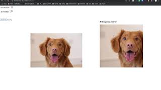 keras model prediction demo
