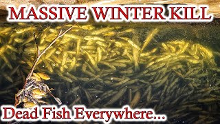 Mive Winter Kill - Saving A Few Fish