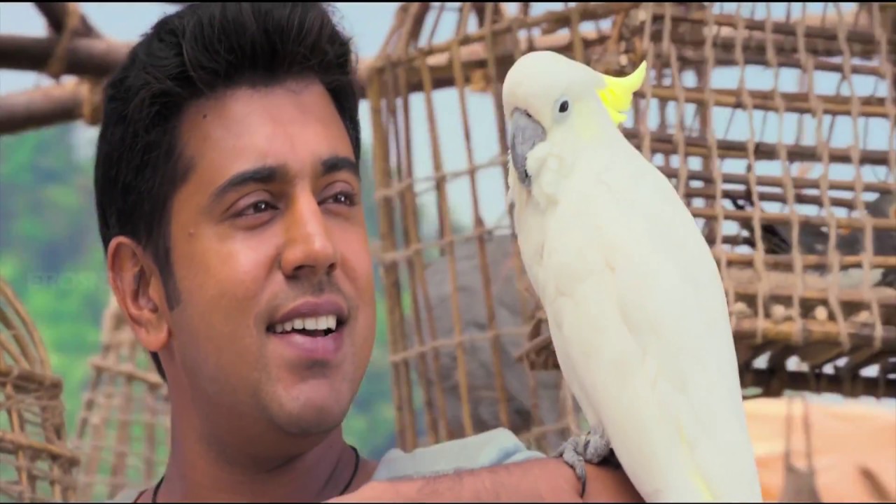 Kalariyadavum Full Video Song  Kayamkulam Kochunni  Nivin Pauly  Priya Anand 4K