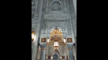 سورة النحل {الآية 10} بصوت الشيخ ياسر الدوسري ❤️❤️