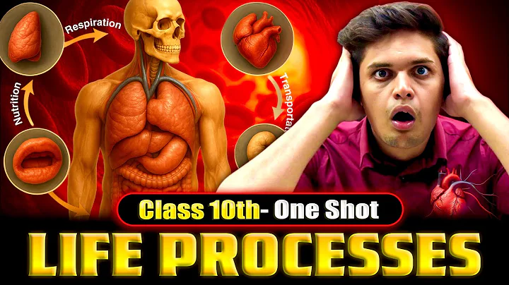 Life Processes Complete Chapter🔥| CLASS 10 Science | NCERT Covered| Prashant Kirad thumbnail