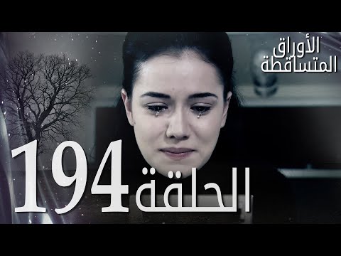 الأوراق المتساقطة الحلقة 194 كاملة مدبلجة بالعربية Leaf Cast