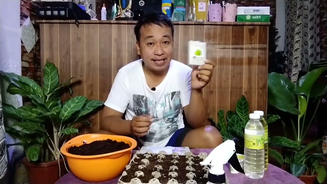 How to establish llc