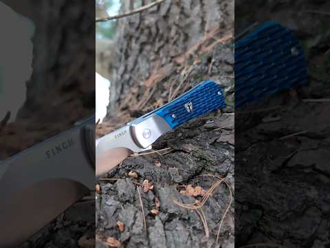 Such a tough blue knife!