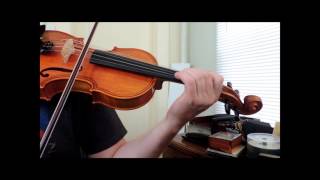 5 String Violin Fiddle For Sale