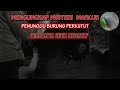 MENGUNGKAP MISTERI MAKHLUK  PENUNGGU BURUNG PERKTUTU PEMBAWA EFEK NEGATIF