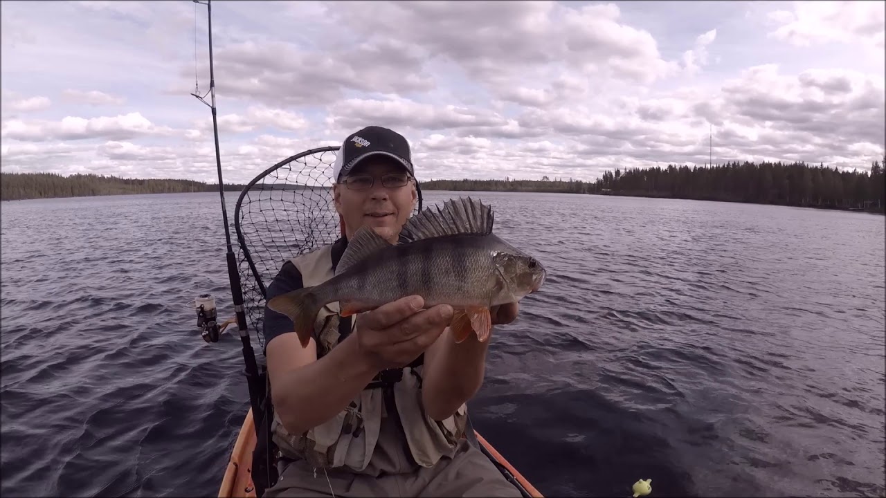 Jiggar abborre från kajaken