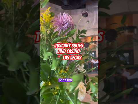 Wild Gems Jackpot @FJslots956 @ Kickapoo Lucky Eagle Casino
