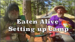Eaten Alive Setting up our Prospecting Camp